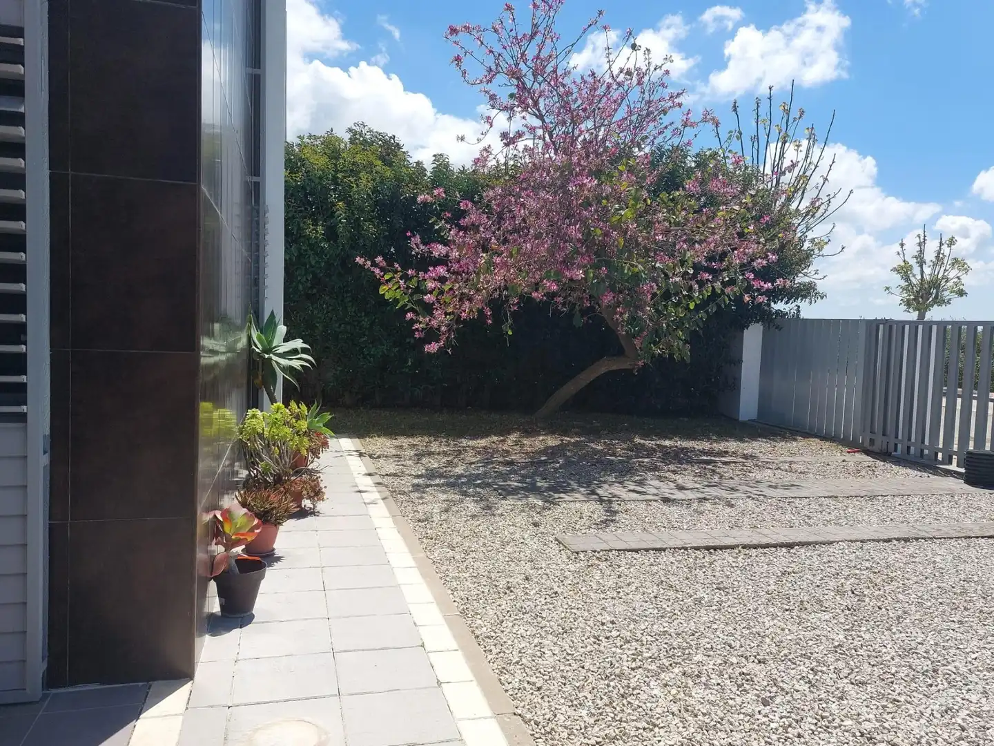 Jardín de Casa adosada en venta en Rozas de Puerto Real con Parquet