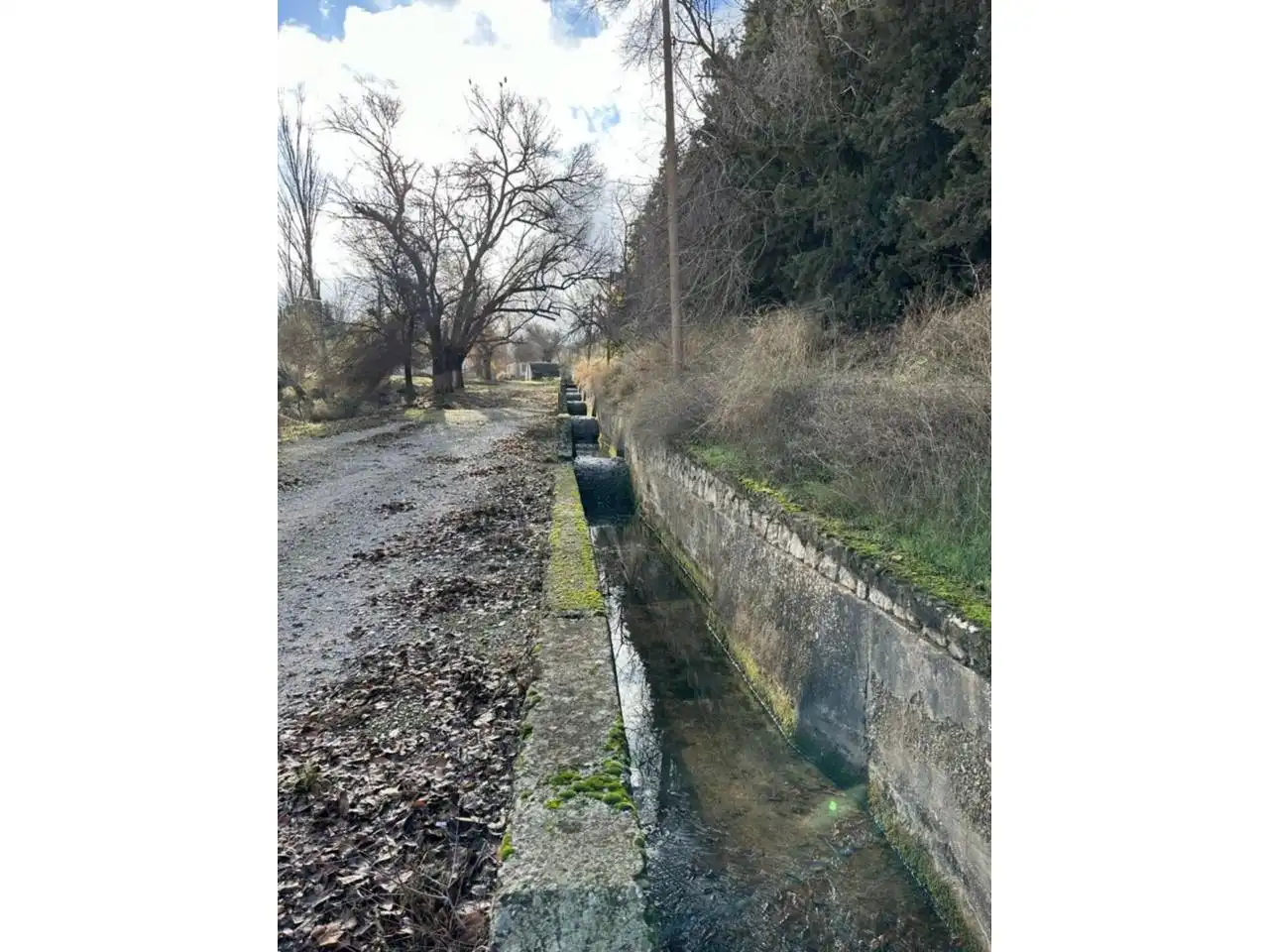 Terreny rústic en venda a Calle Riegos de Moraleda 1, imagen 10