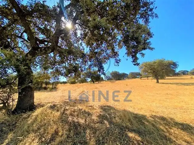 Residential land for sale in Fuente Obejuna