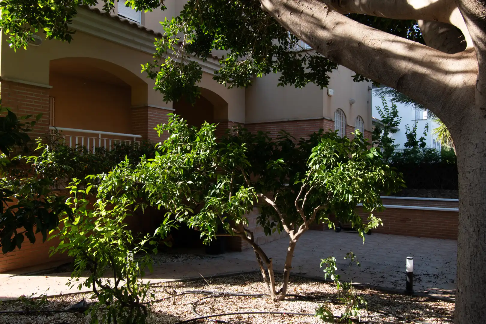 Jardín de Casa o chalet de alquiler en Murcia con Aire acondicionado, Calefacción y Jardín privado
