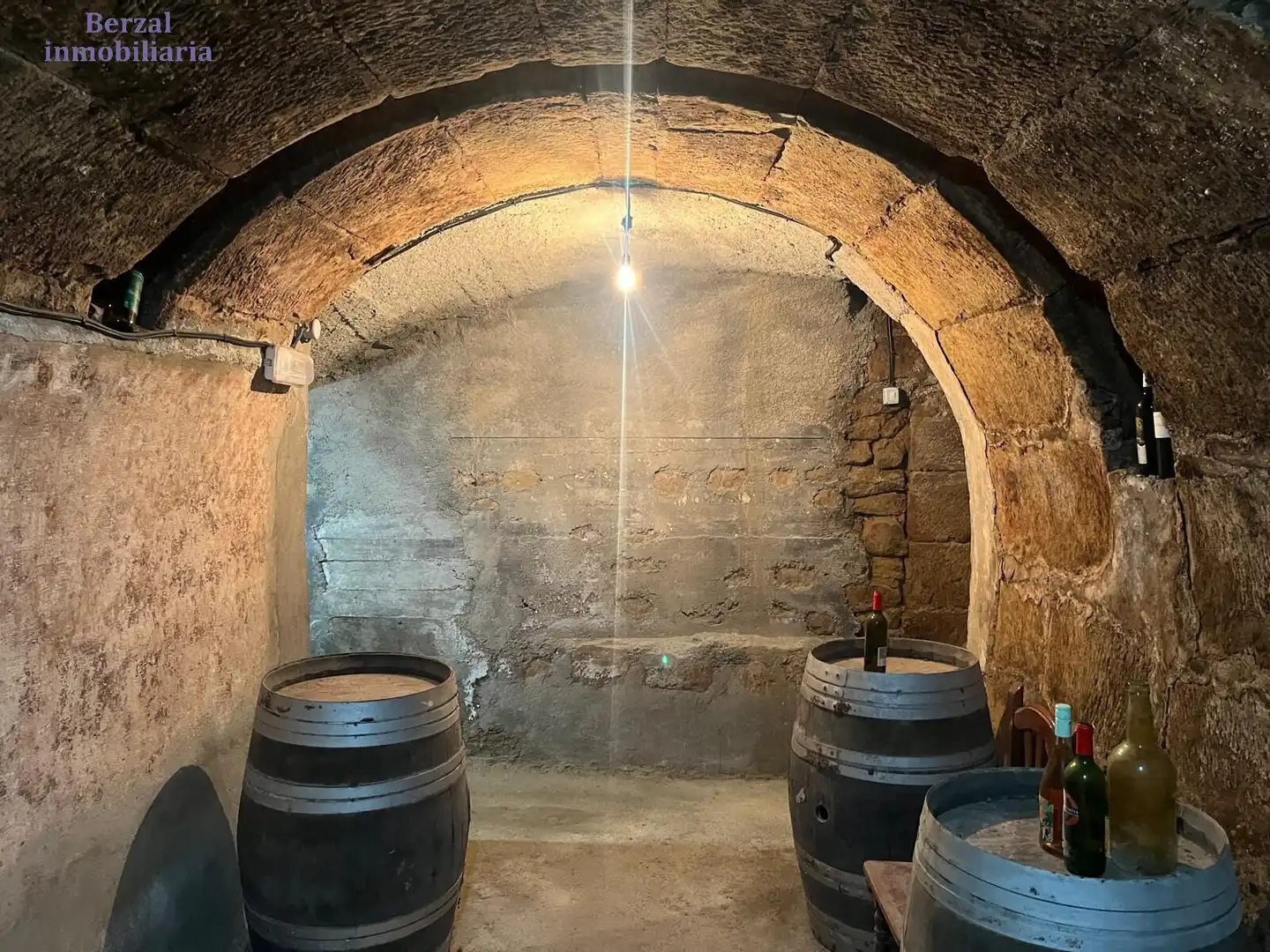 Commercial properties for sale in Baños de Ebro / Mañueta