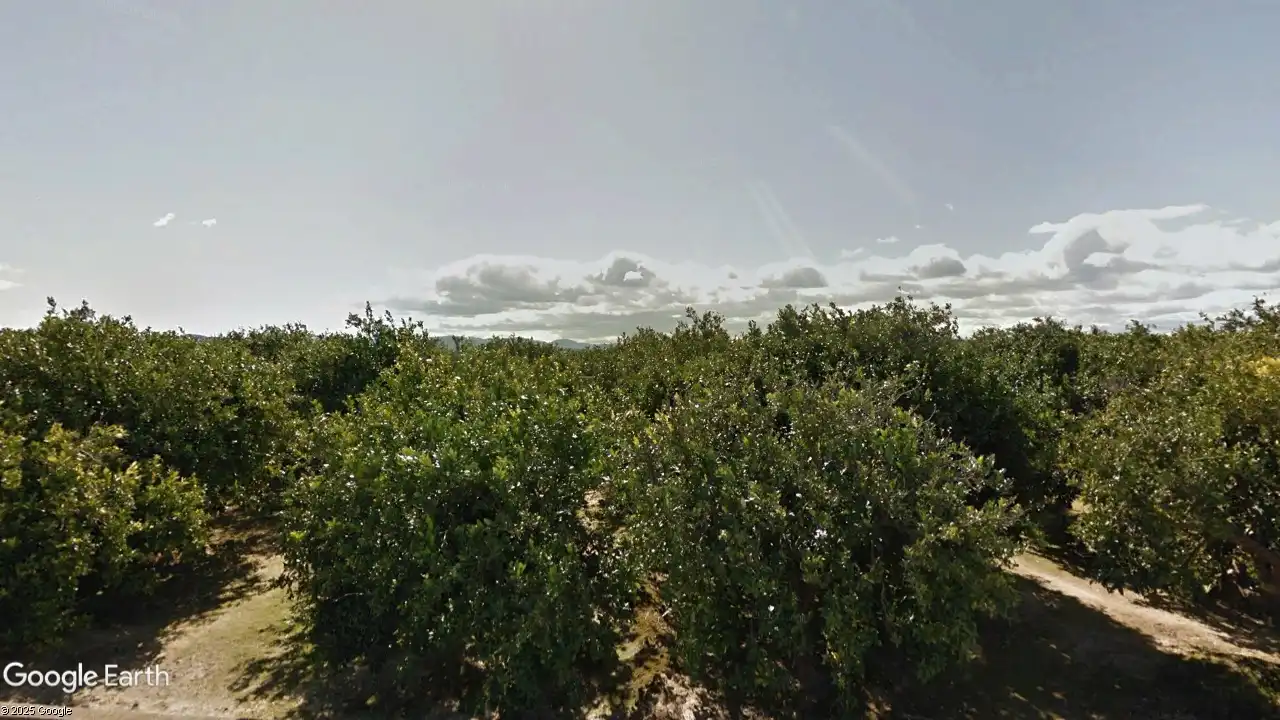 Terreno rustico in vendita a Partida de Passicos 124, imagen 2