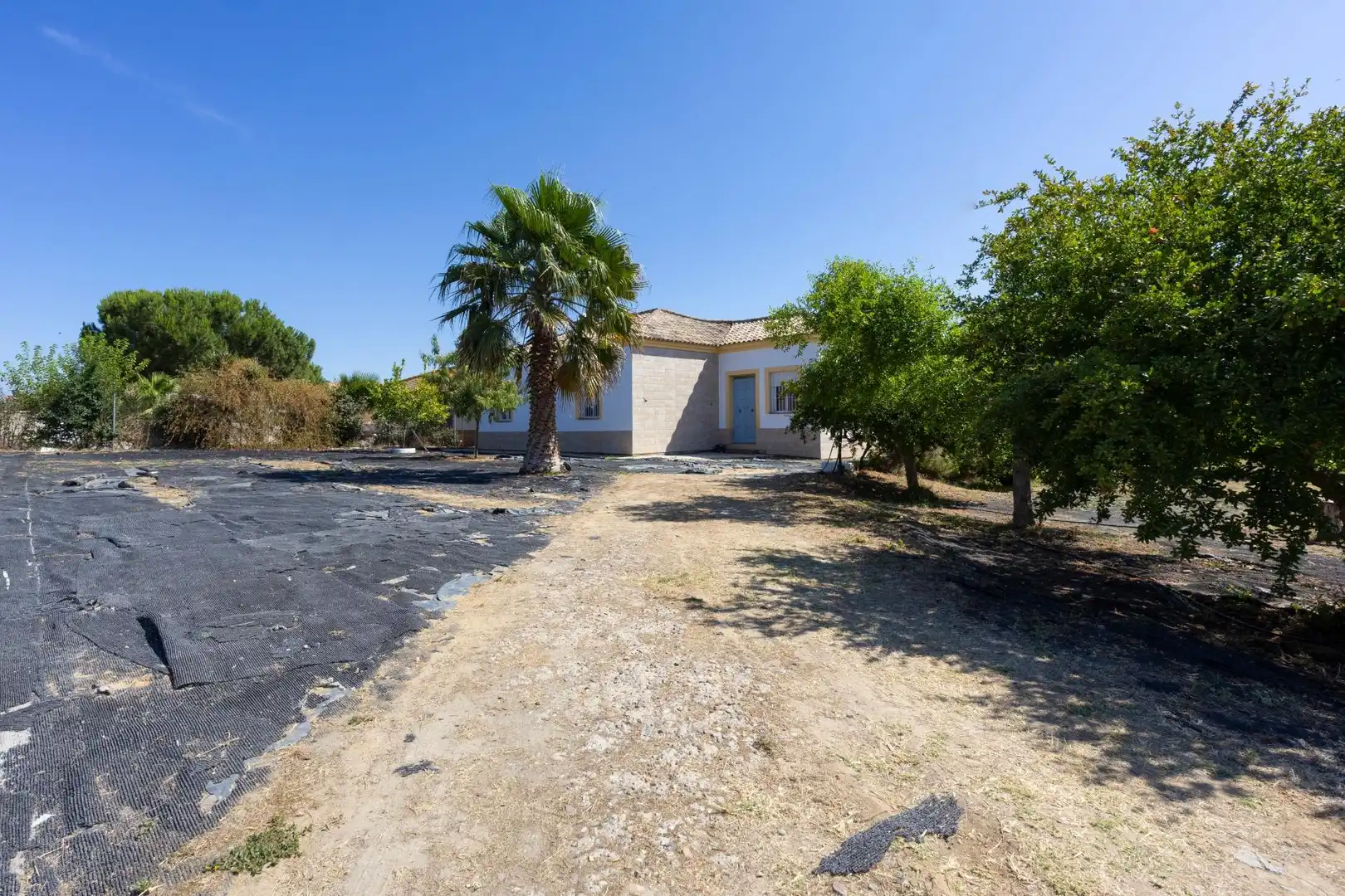 Vista exterior de Casa o chalet en venta en La Puebla del Río con Terraza, Trastero y Piscina