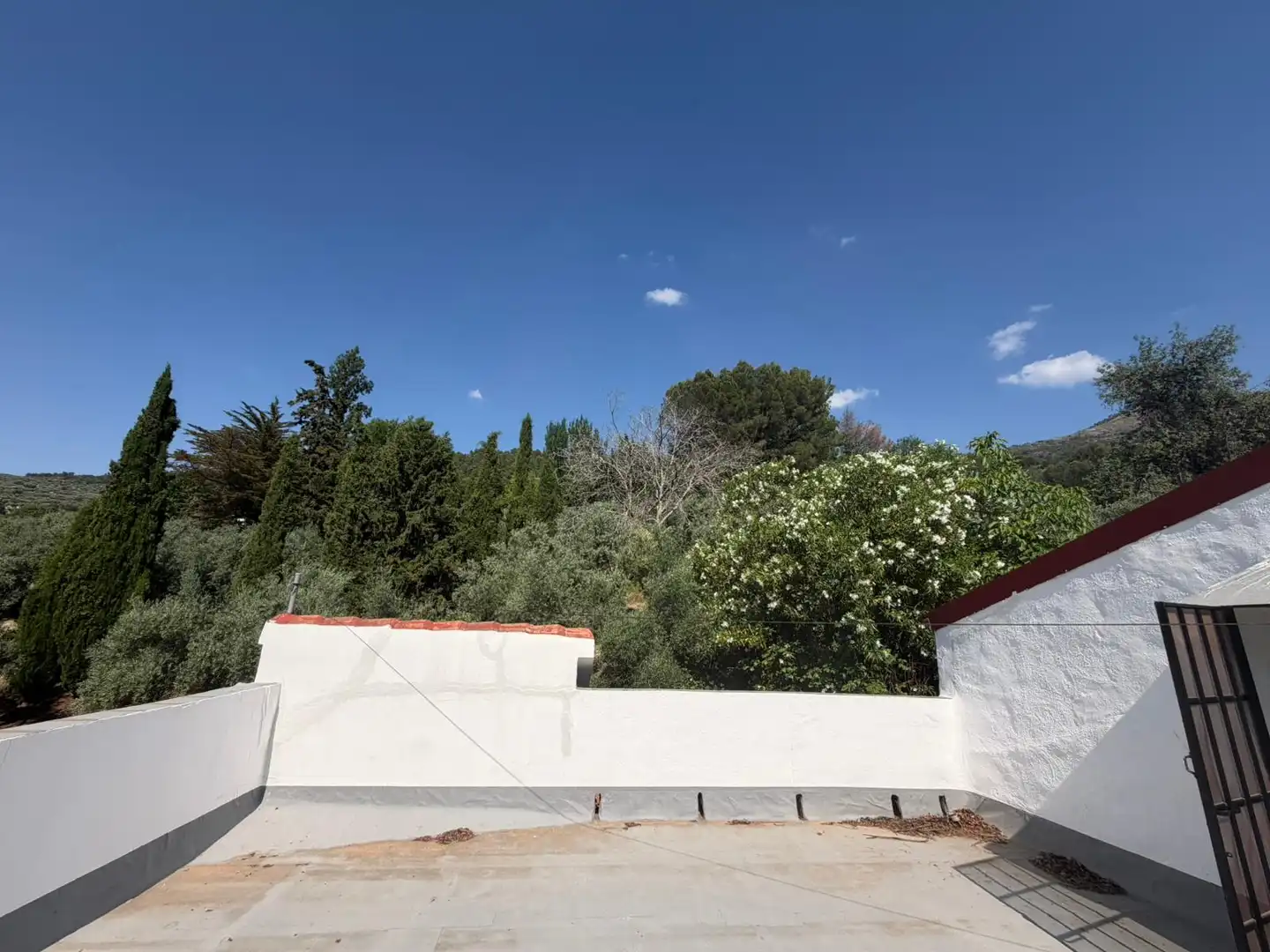 Jardín de Finca rústica en venta en Los Villares con Terraza, Trastero y Piscina