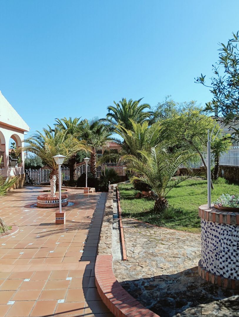 Jardín de Casa o chalet en venta en Algar de Palància con Calefacción, Jardín privado y Terraza