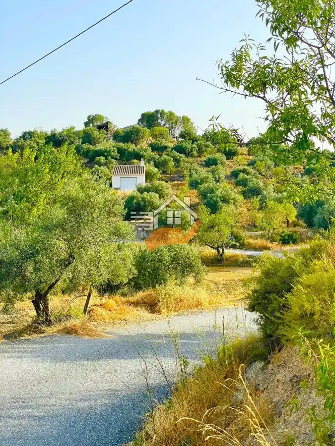 Residential land for sale in Vélez-Rubio, imagen 3