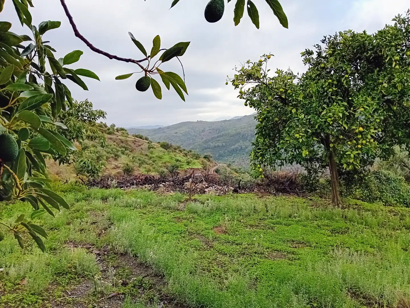 Terreni e lotti in vendita a Yunquera, imagen 10