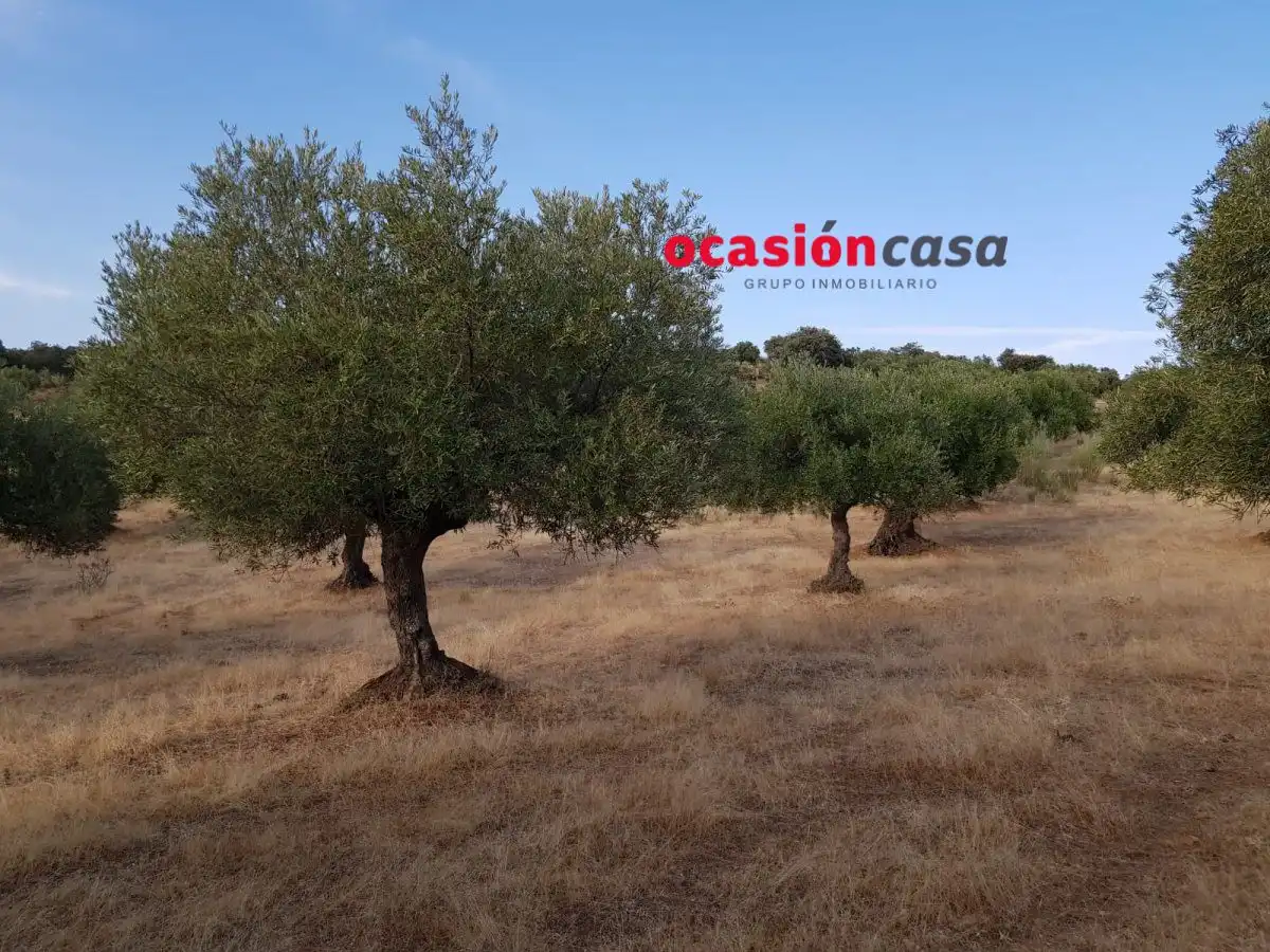 Finca rústica en venta en Espiel con Piscina y Amueblado