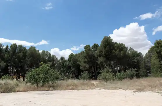 Terreno residencial en venta en Caravaca de la Cruz, imagen 2