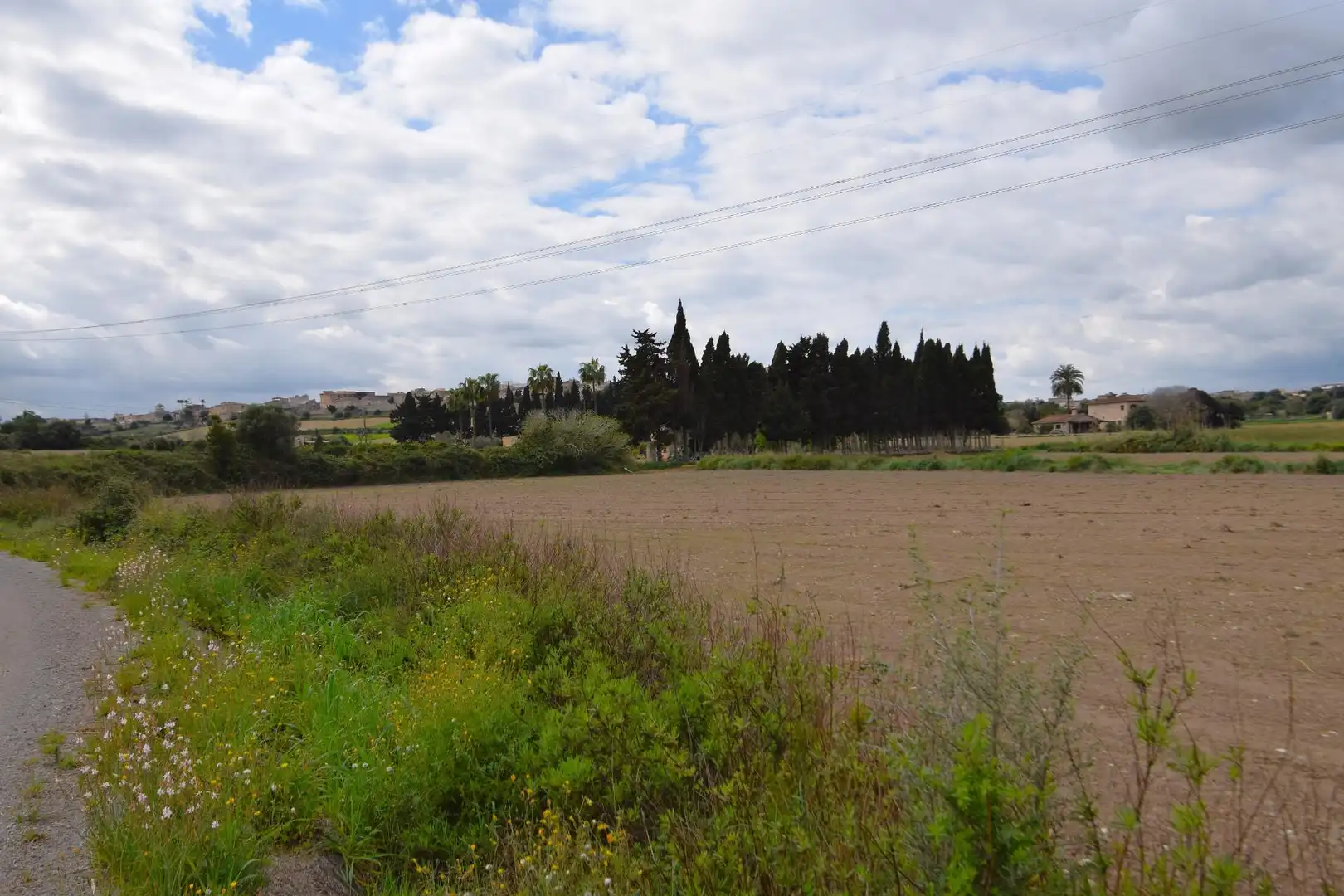 Residential land for sale in Muro, imagen 5