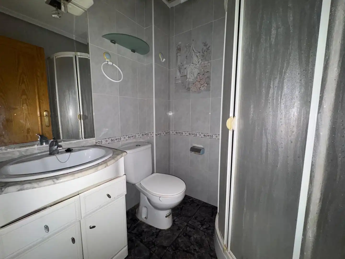 Apartment for sale in AVDA  PINTOR PEDRO CANO, EDIF. ESCORPIO     00035, imagen 11
