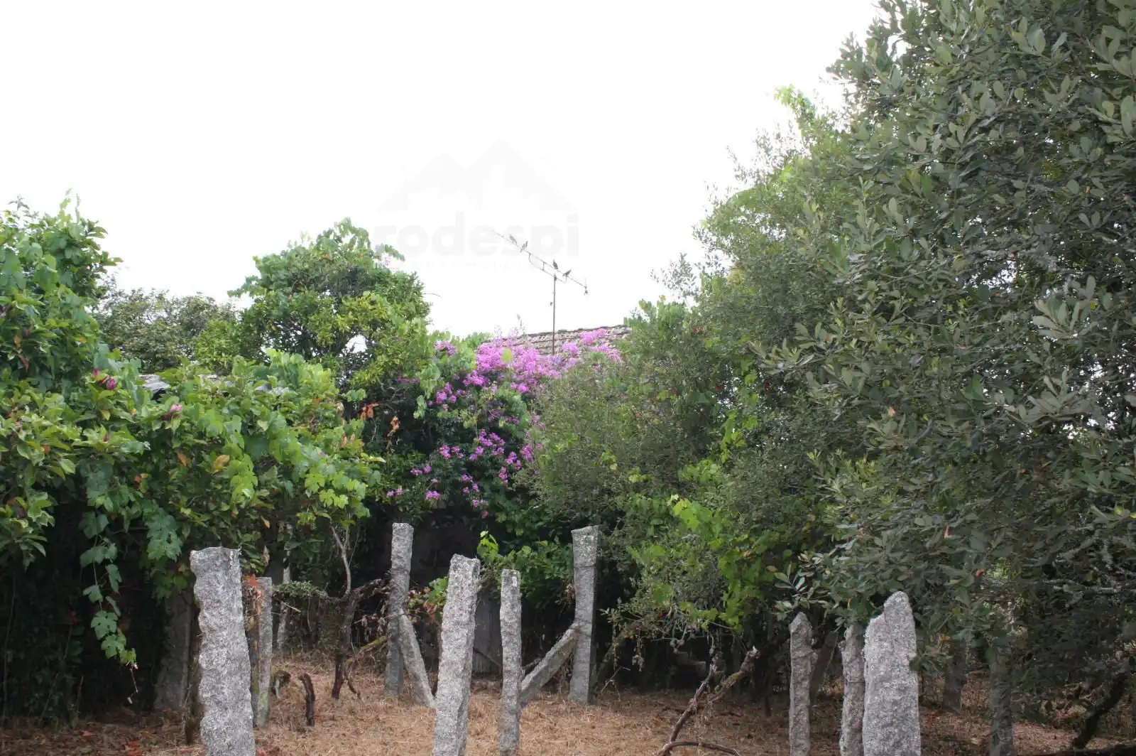 House for sale in Salvaterra de Miño, imagen 17