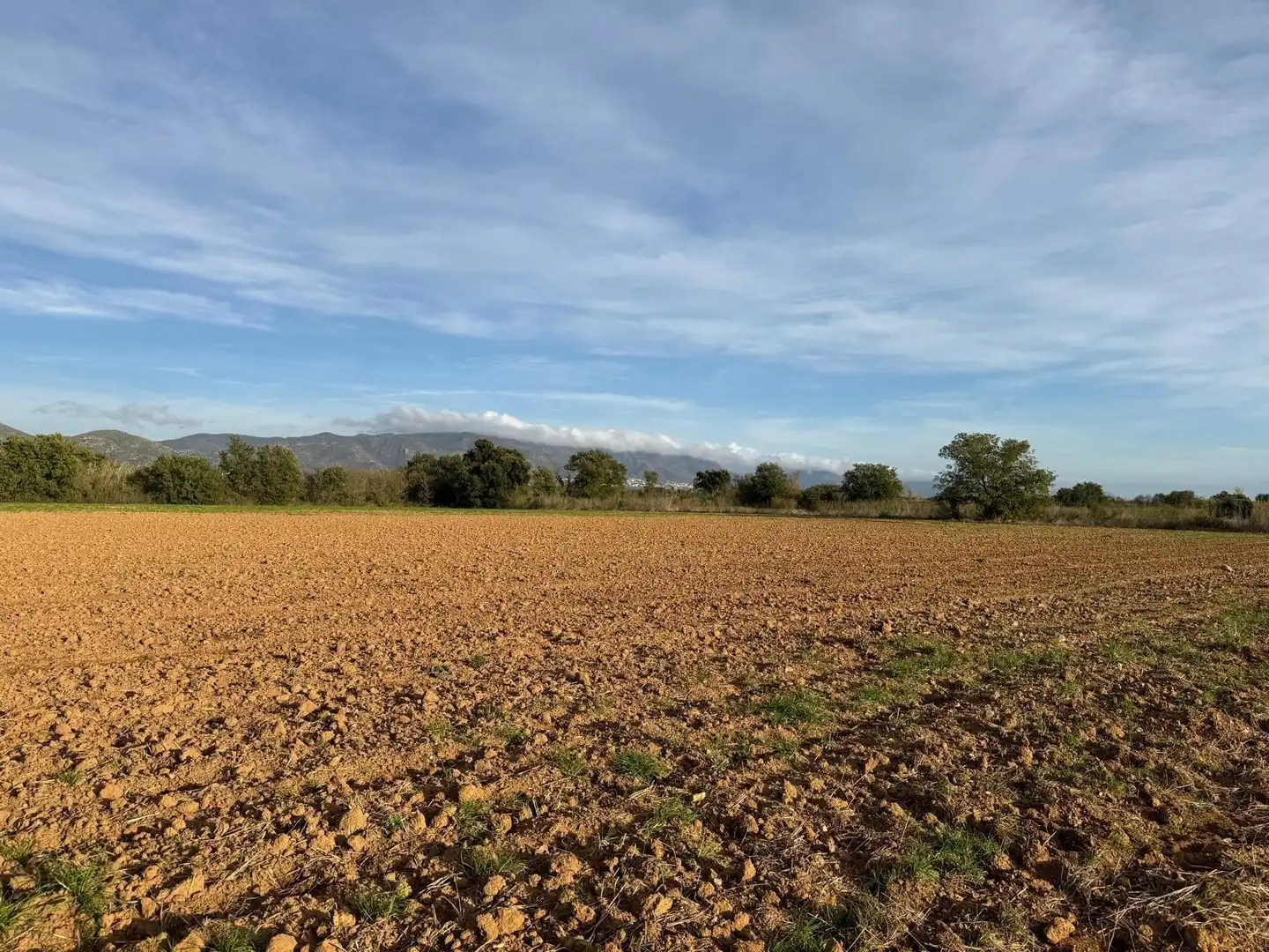 Rural land for sale in Garriguella, imagen 8