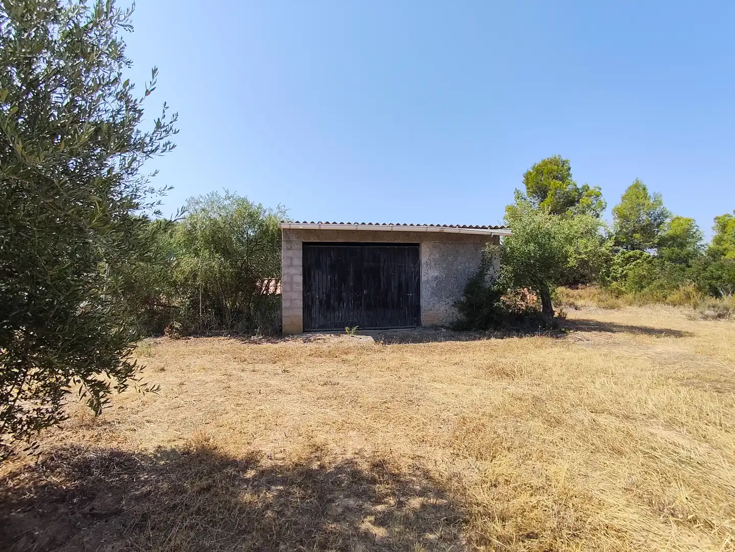 Terreno en venta en Cervià de Les Garrigues