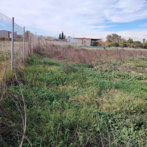 Terreno en Venta en Camino  Camino de san Anton poligono 92 parcela 46 en Puebla de Soto