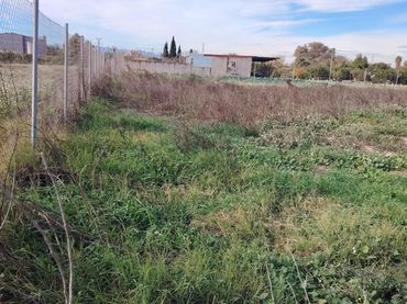 Terreno rustico in vendita a Camino  Camino de san Anton poligono 92 parcela 466