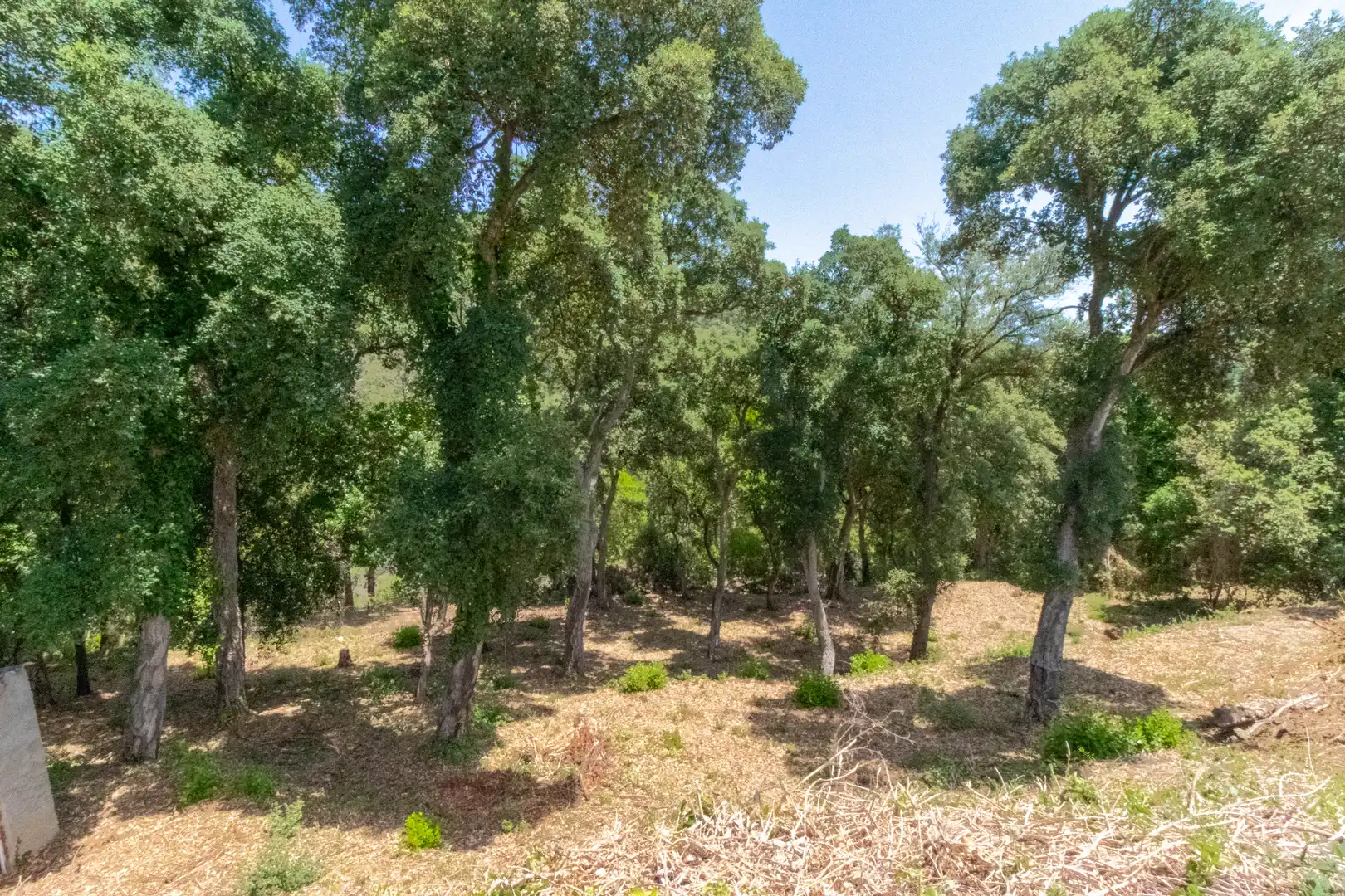 Xalet amb terrassa en venda a Sant Cebrià de Vallalta, imagen 31