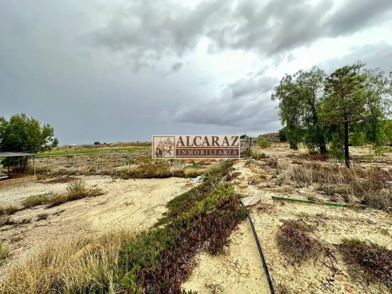 Casa o xalet en venda en Novelda amb Jardí privat i Terrassa