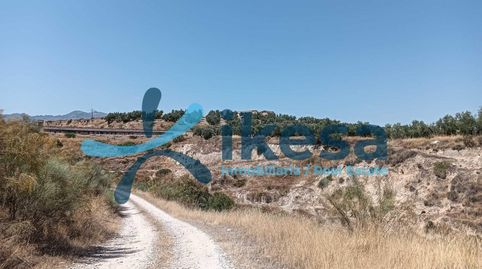 VENTA DE FINCA RÚSTICA EN JÓDAR JAÉN, imagen 3