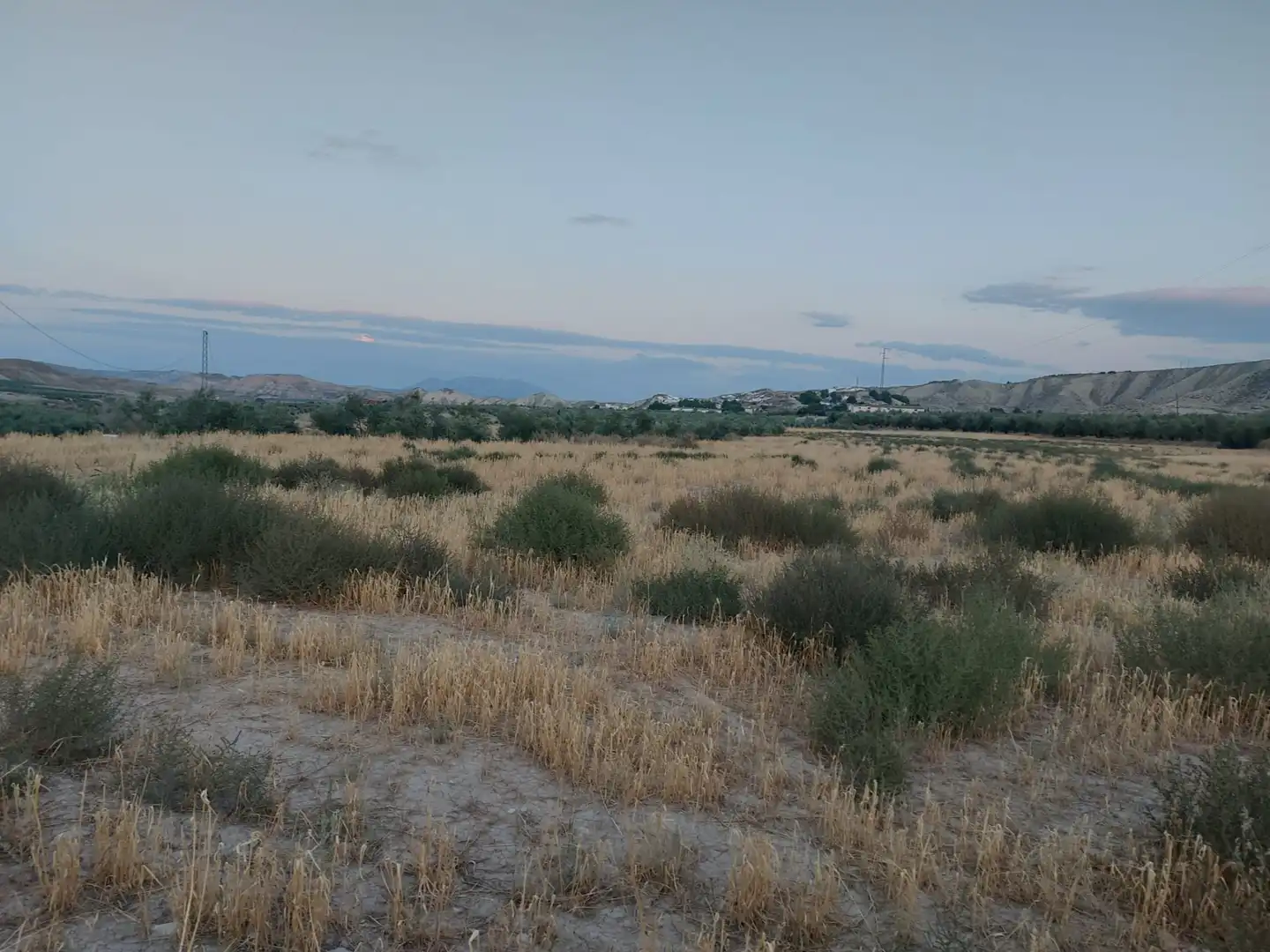 Terreno en venta en Alicún de Ortega