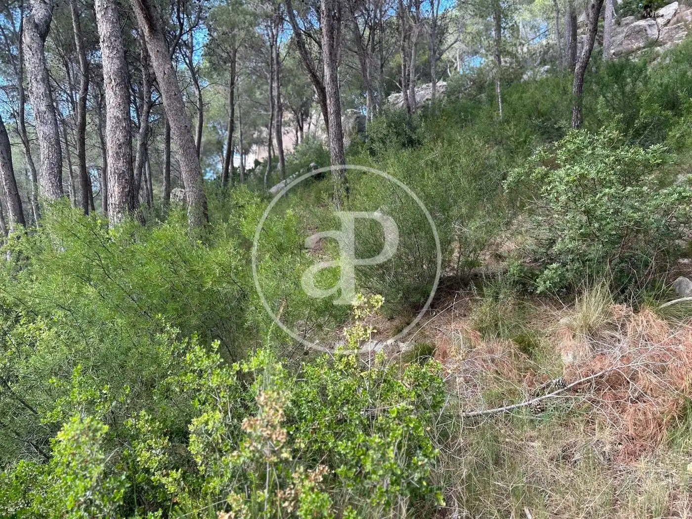 Wohnbaugrundstück zum Verkauf in El Bosque, imagen 5