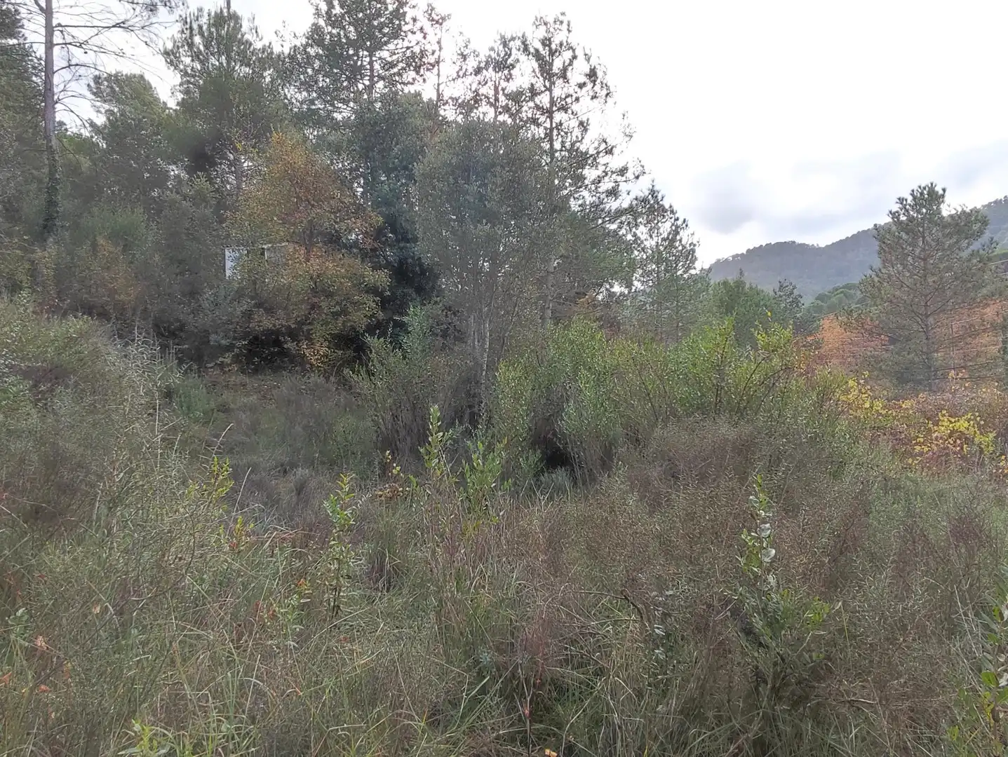 Terrain rustique à vendre à Monistrol de Calders, imagen 27