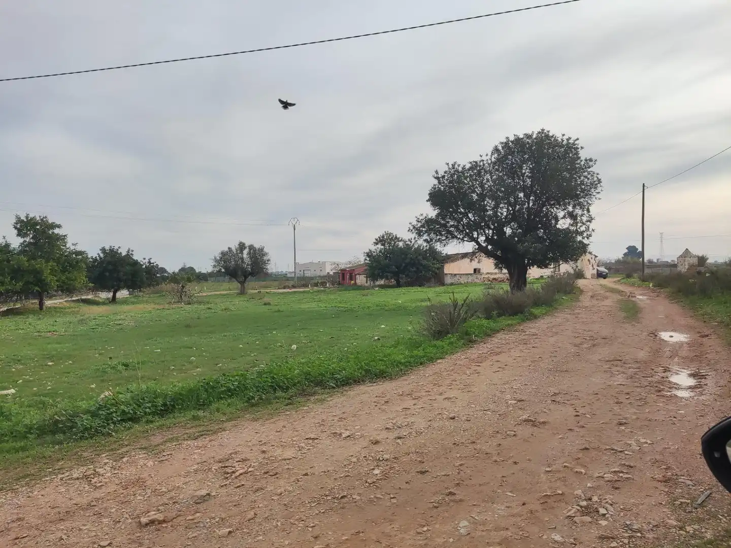 Finca rústica en venda en Cartagena