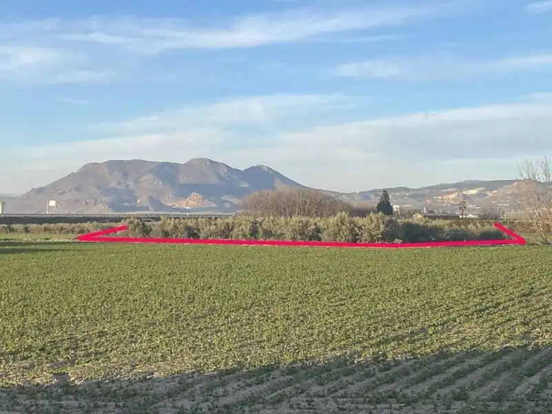 Vista exterior de Finca rústica en venda en Vegas del Genil
