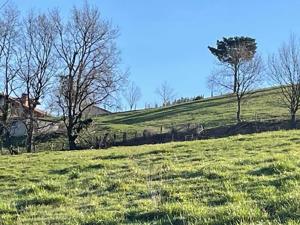 Land for sale in Balmaseda