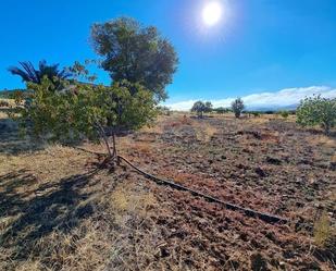 Casa o xalet en venda a El Poblado - Abulagar