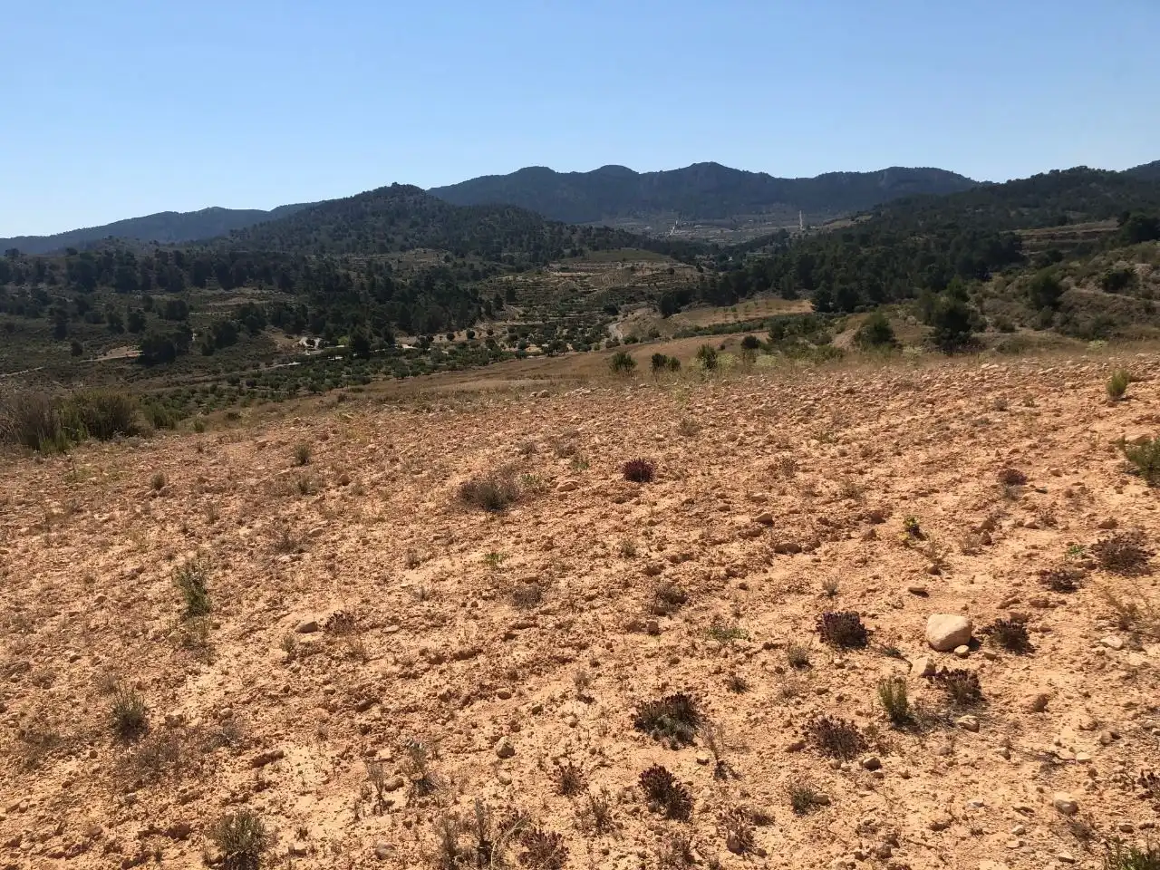 Rustikales Grundstück zum Verkauf in Jumilla, imagen 6