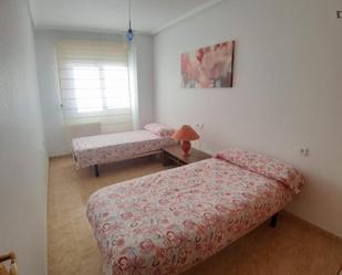 Apartment to share in  Murcia Capital