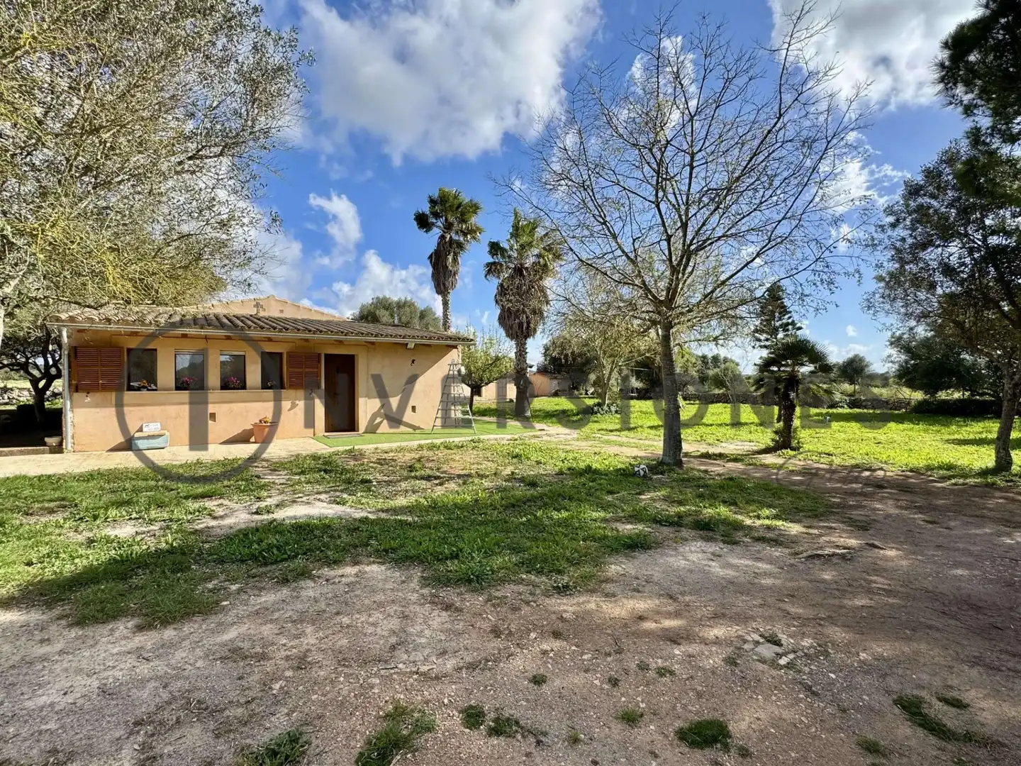 Casa rústica con jardín en venta en Son Munda, imagen 6