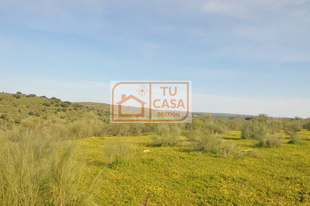 Terreno en Venta en Carretera Cementerio, 1 en Piedras Albas