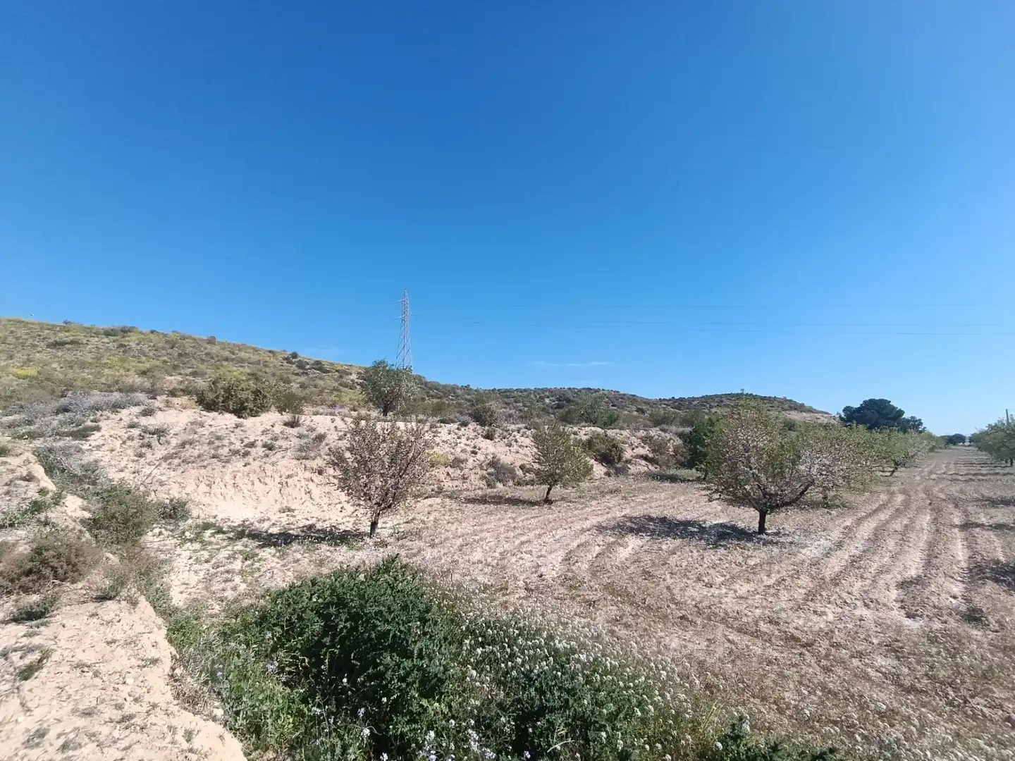 Terrenos y solares en venta en Pedanías Oeste, imagen 4