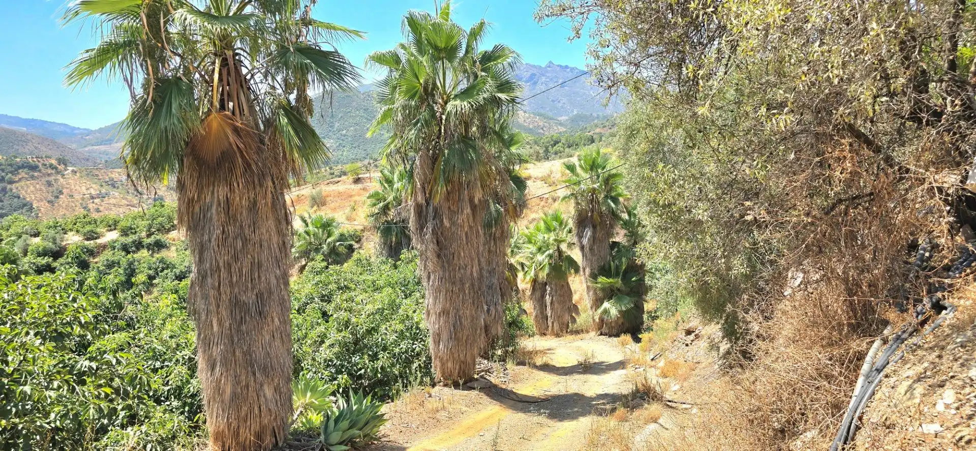 Vista exterior de Casa o xalet en venda en Guaro amb Aire condicionat, Jardí privat i Moblat