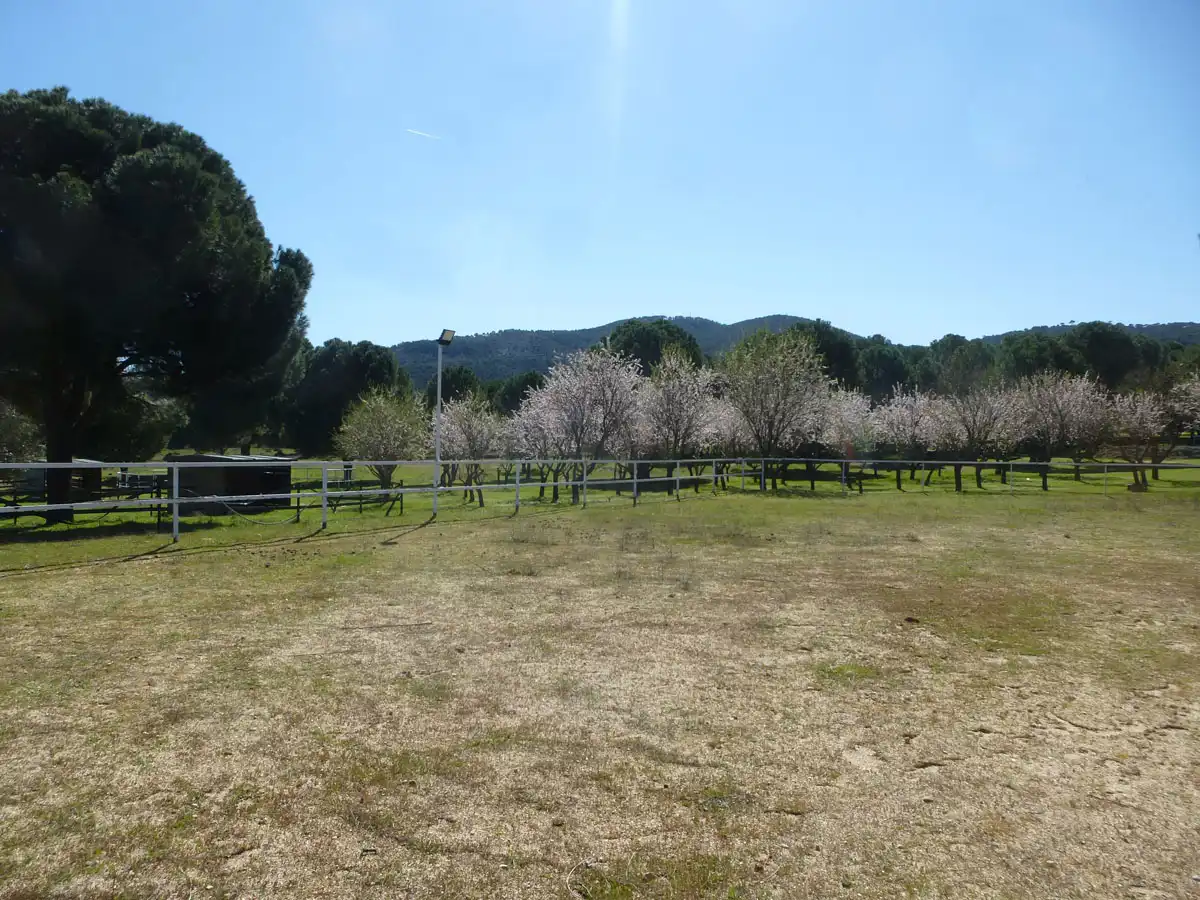Terreno residencial en venta en Pelayos de la Presa, imagen 13
