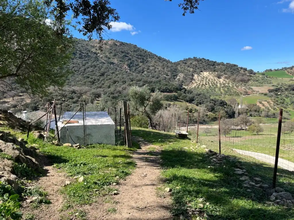 Vista exterior de Finca rústica en venda en Ronda