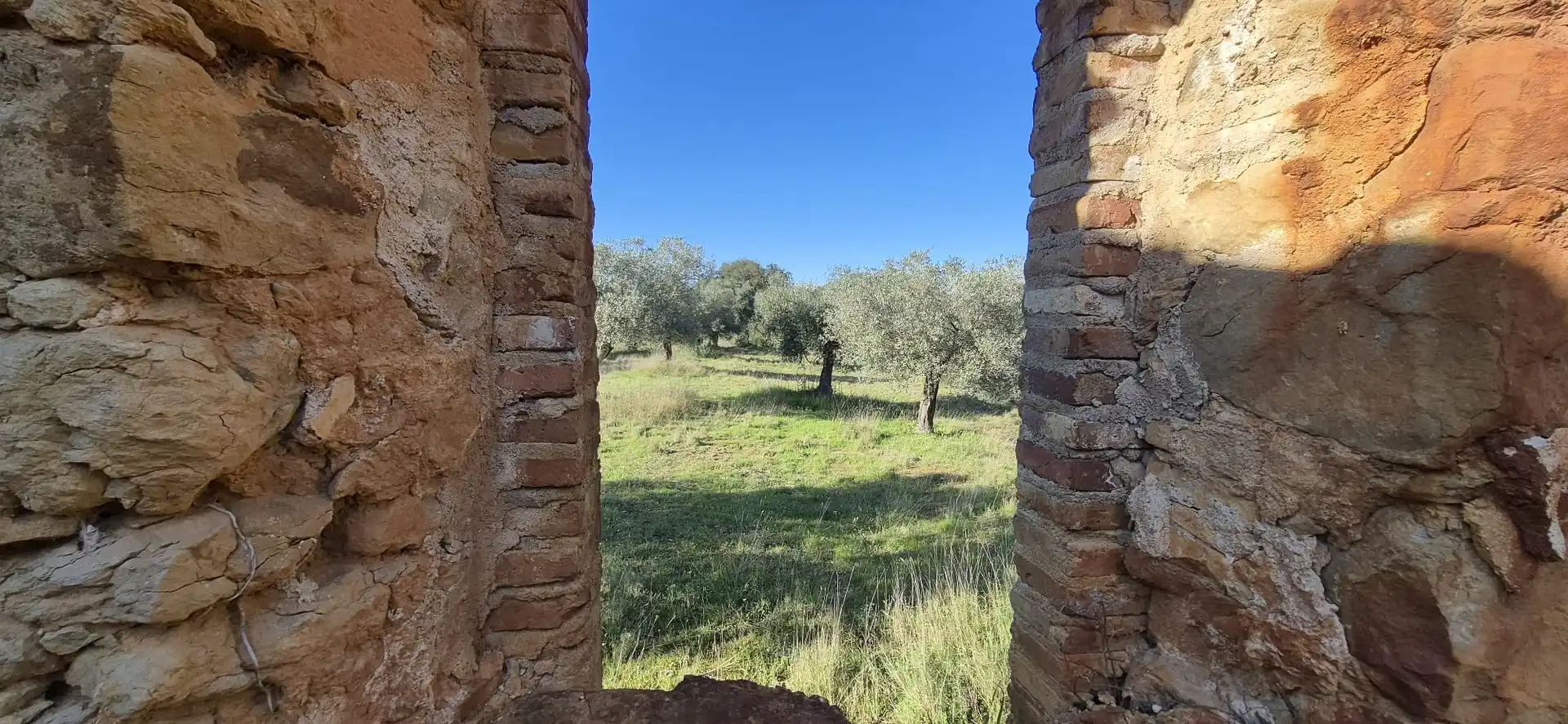 Jardín de Residencial en venta en Ullastret
