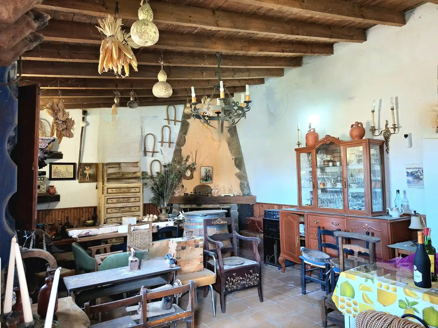 Finca rústica en venta en Peñaranda de Bracamonte