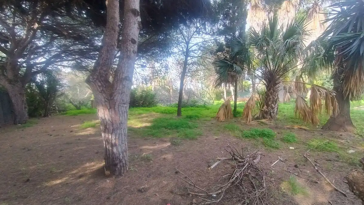 Terreni e lotti in vendita a Marbella - Marbella,Chapas,Calle Pinsapo, imagen 28