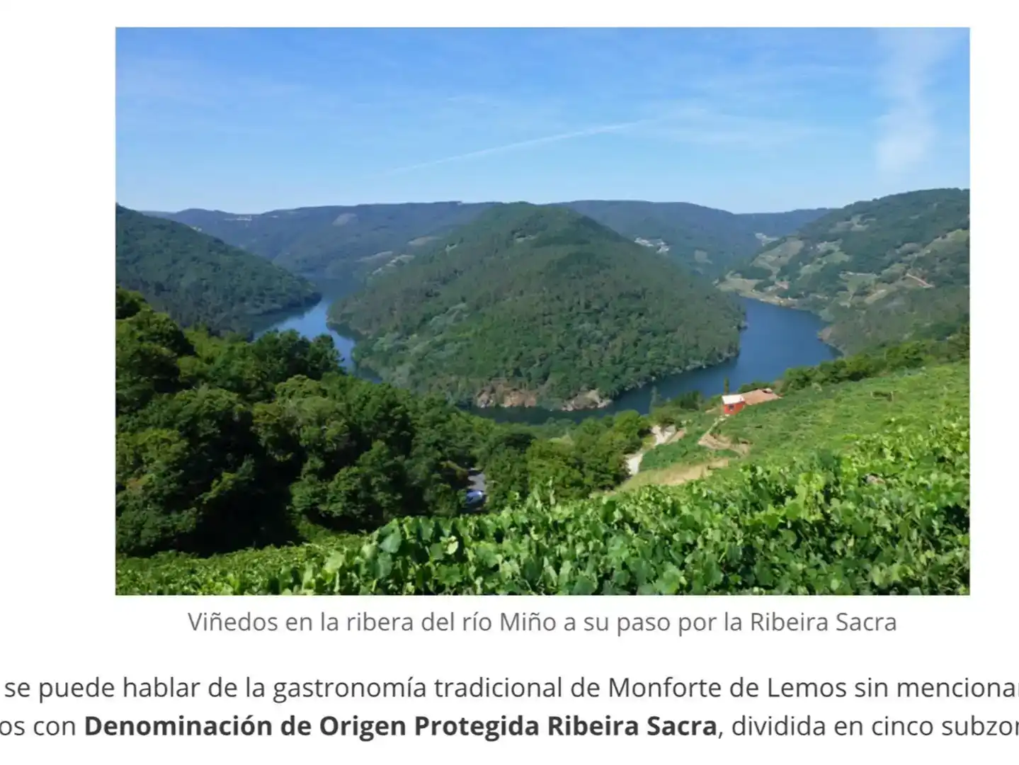 Finca rústica en venda en Monforte de Lemos, Lugo