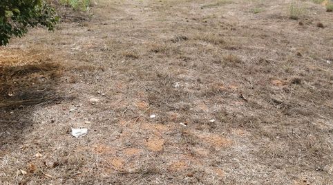 Terreno Martorrelles Centro, immagine 4