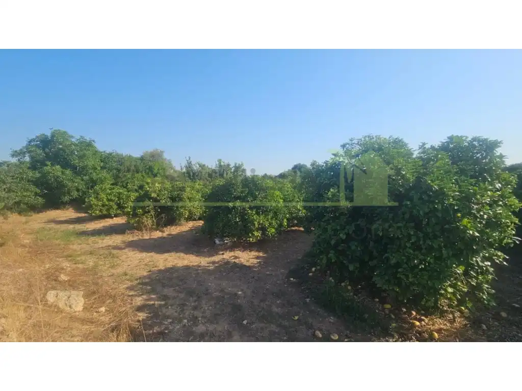 Terreny residencial en venda a Partidas de interior - Zona Rústica, imagen 7
