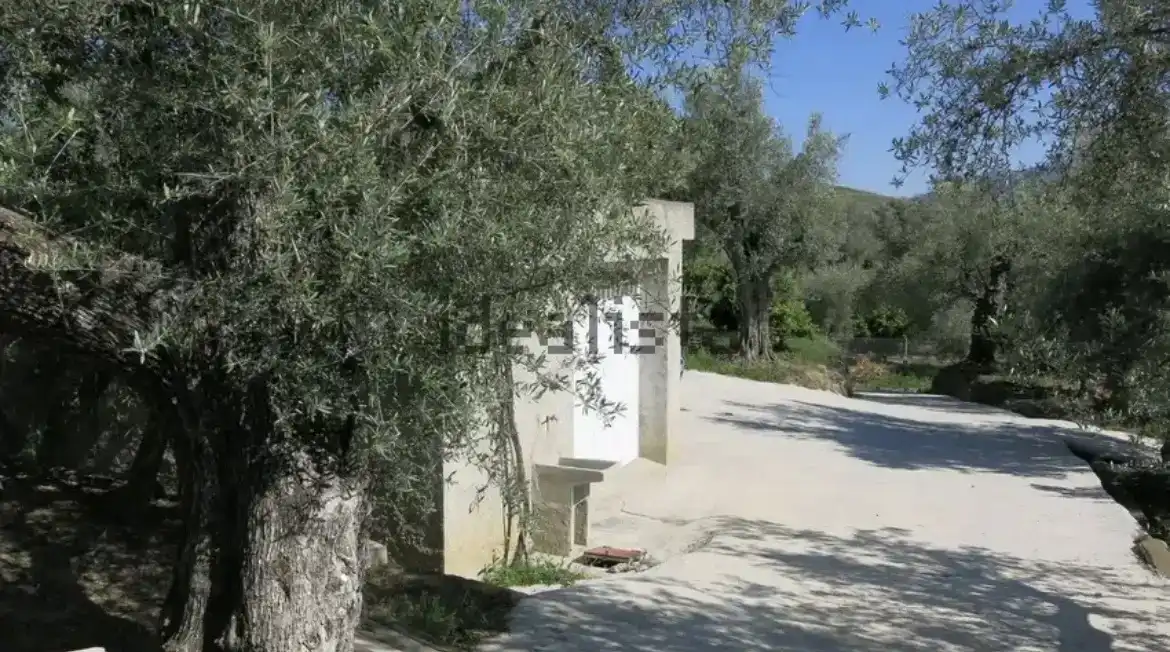 Vista exterior de Finca rústica en venda en Lecrín