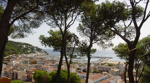 Parcela con vistas al mar, imatge 5