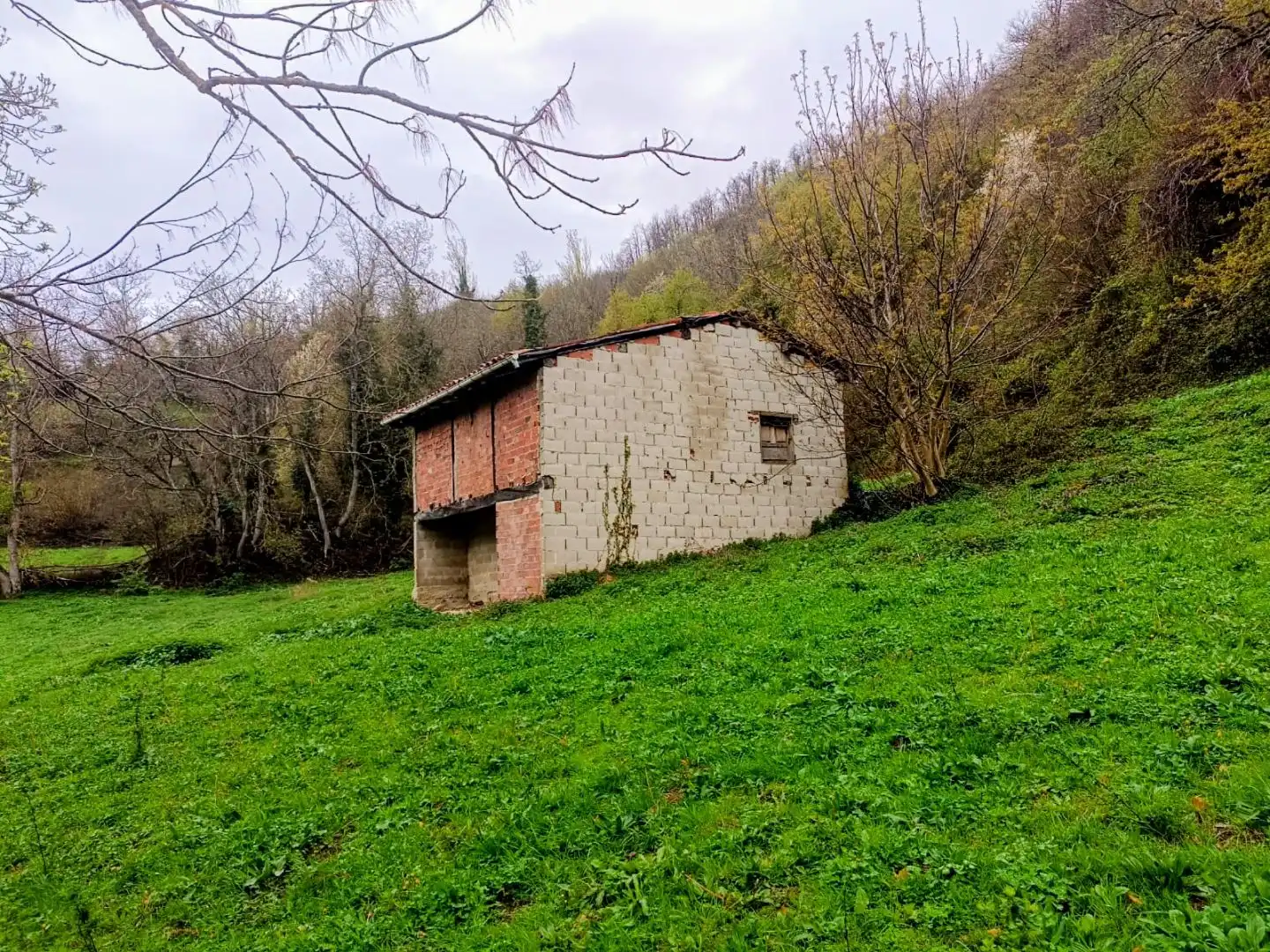 Terreny rústic en venda a Carretera as117 Sn, imagen 57
