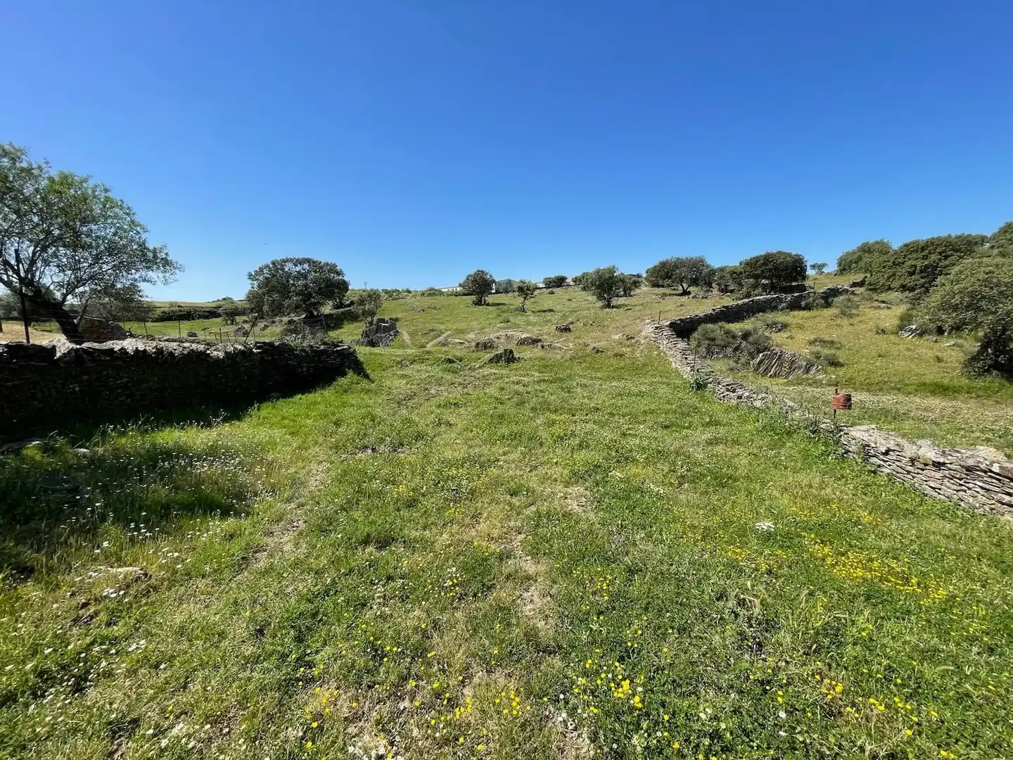 Terreni e lotti in vendita a Garrovillas de Alconétar, imagen 13