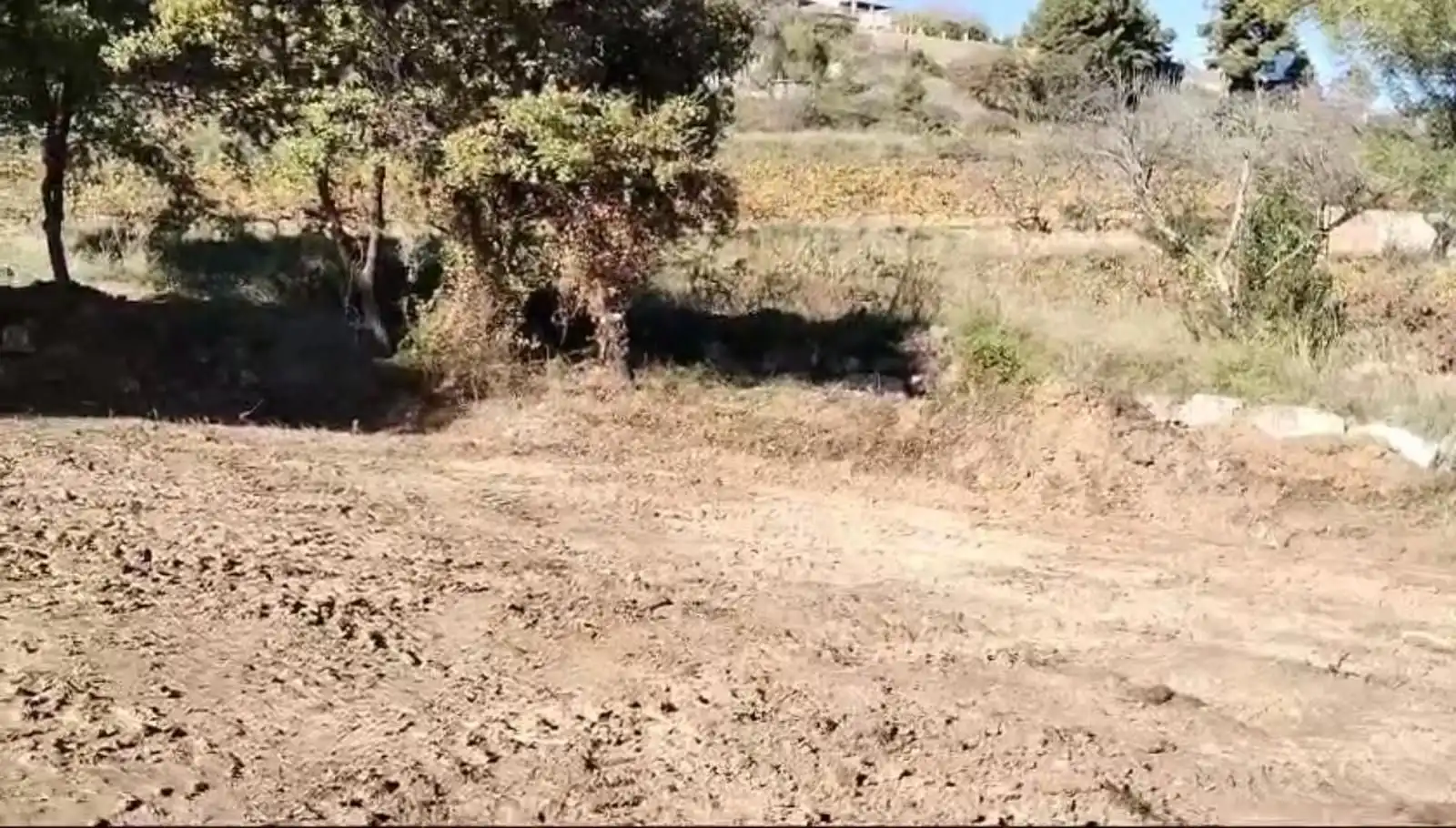 Residential land for sale in Calle Drago ( CAN CORAL)