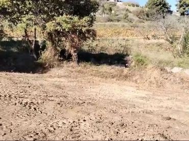 Terreno residencial en venta en Calle Drago ( CAN CORAL)